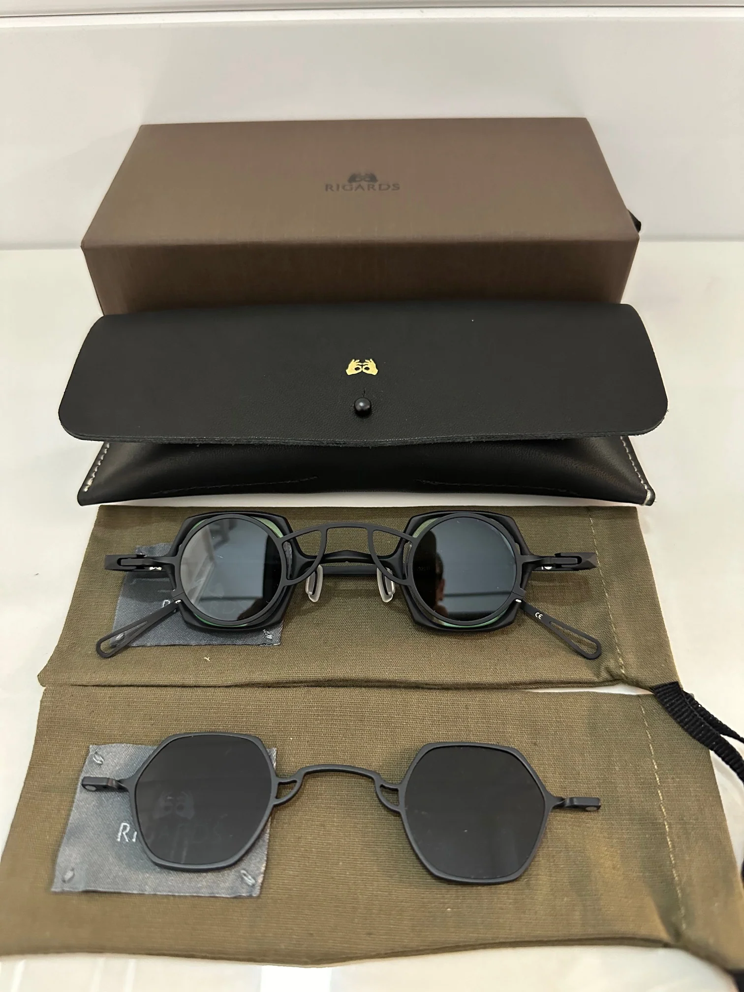 RIGARDS Mad Scientist Titanium Sunglasses RG1921TI - Image 10